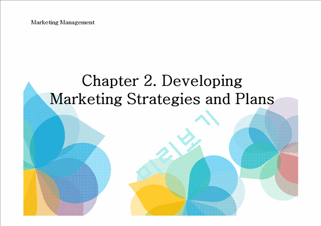 Developing Marketing Strategies and Plans   (1 )